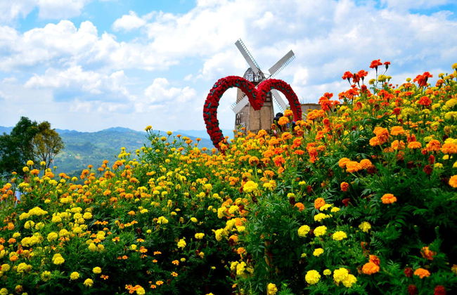 Tour por Cebú + Templo Leah y Jardín Sirao - Foto 7