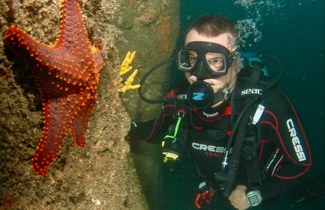 Baptême de plongée à Acapulco - Photo 3