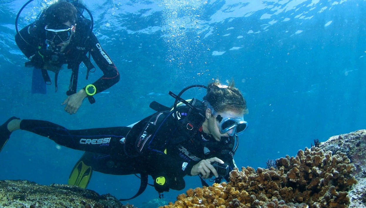 Baptême de plongée à Acapulco
