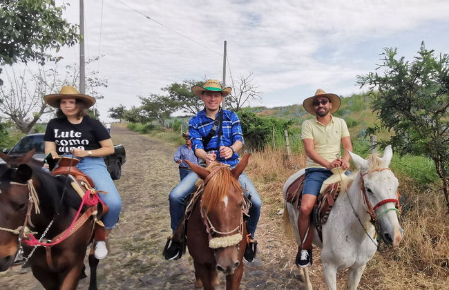 Paseo a caballo por Tequila + Visita a una destilería con cata - Foto 2