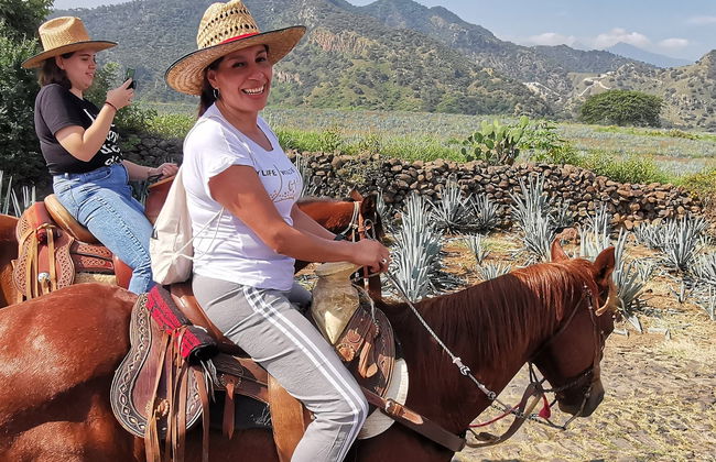 Paseo a caballo por Tequila + Visita a una destilería con cata - Foto 13