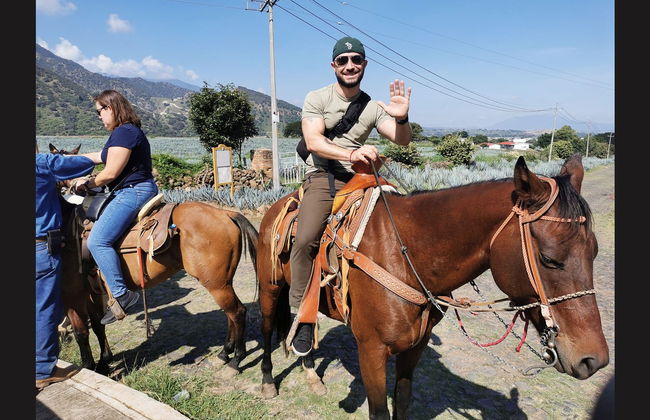 Paseo a caballo por Tequila + Visita a una destilería con cata - Foto 9