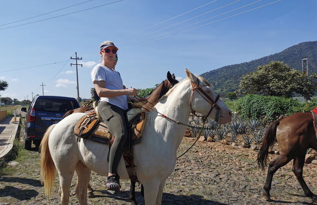 Paseo a caballo por Tequila + Visita a una destilería con cata - Foto 6