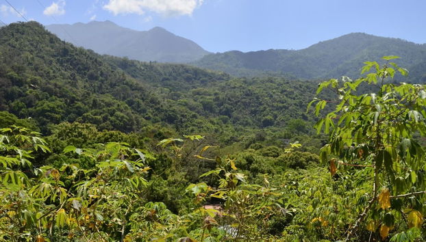 Minca Day Trip - Foto 3