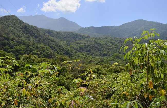 Minca Day Trip - Foto 3