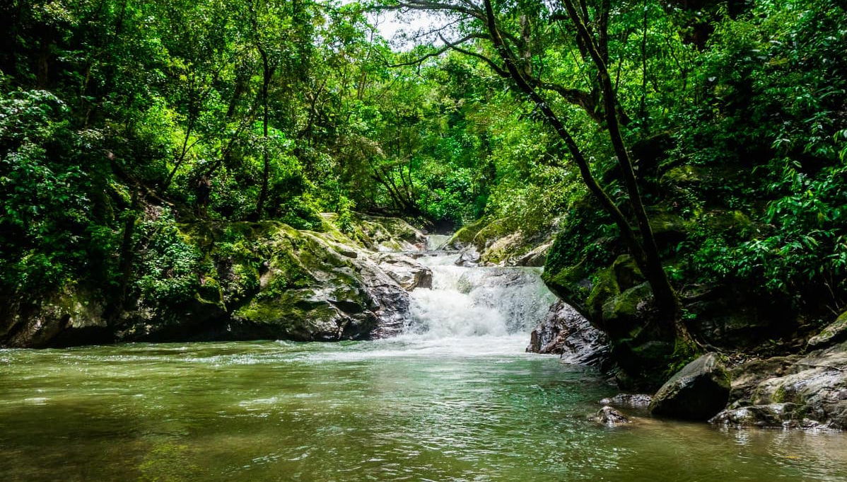 Minca Day Trip - Foto 1