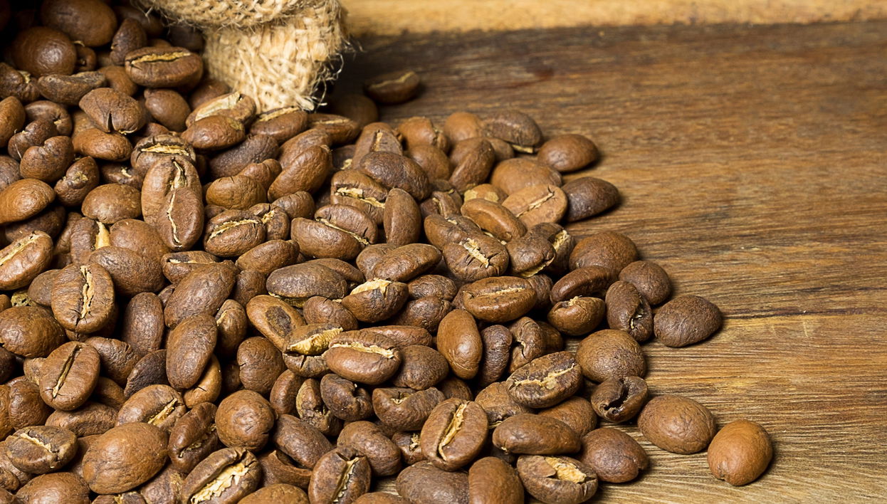 Visite d'une plantation de café + dégustation de bières artisanales