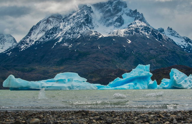 Excursion à Torres del Paine - Photo 6