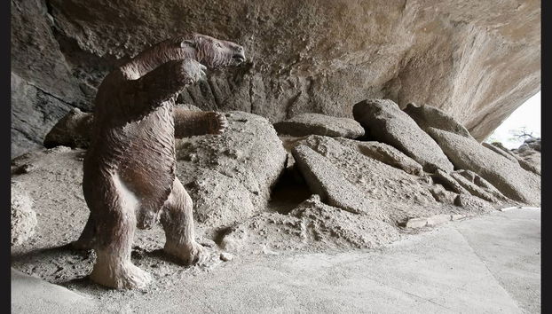 Excursion à Torres del Paine - Photo 2