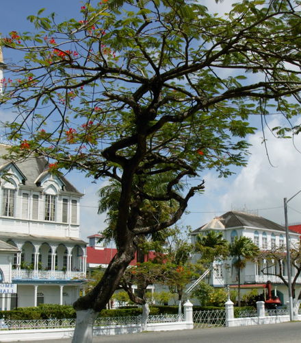 Foto de Visita guiada por Georgetown