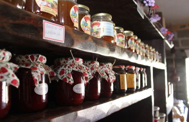 São José dos Pinhais Wine Tour - Foto 3