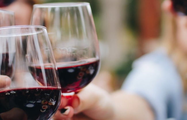 Tour del vino por São José dos Pinhais - Foto 6