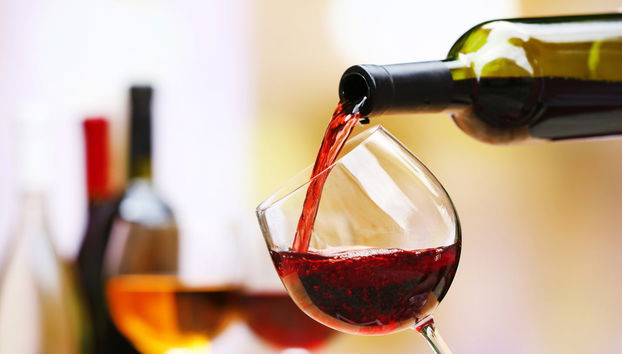 Tour del vino por São José dos Pinhais - Foto 5