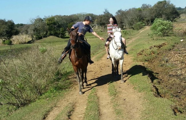 Horse Riding in Curitiba + Zoo Visit - Photo 4