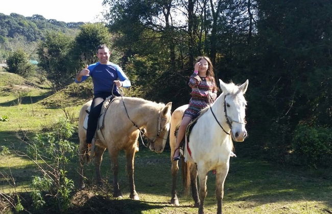 Horse Riding in Curitiba + Zoo Visit - Photo 5