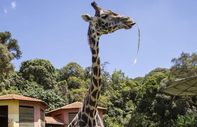 Horse Riding in Curitiba + Zoo Visit - Photo 2