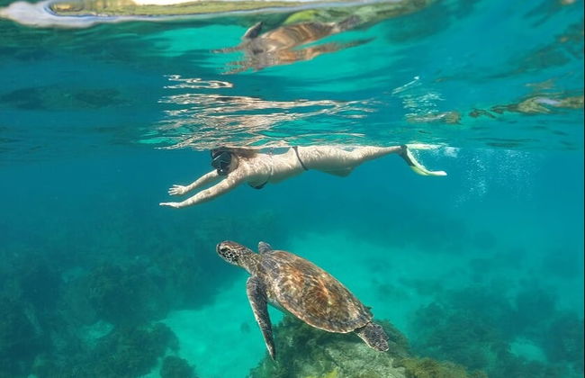 Tour en canoa por Fernando de Noronha - Foto 5