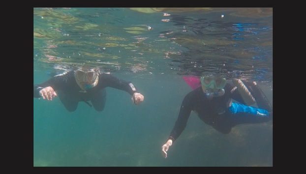 Snorkeling Class in Ilhabela - Photo 3