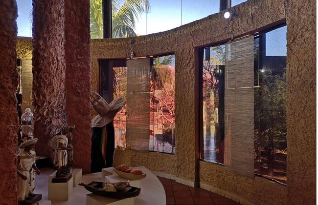 Visita guiada pelo Museu Kenneth Lee - Foto 3