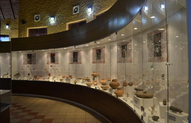 Visita guiada pelo Museu Kenneth Lee - Foto 4