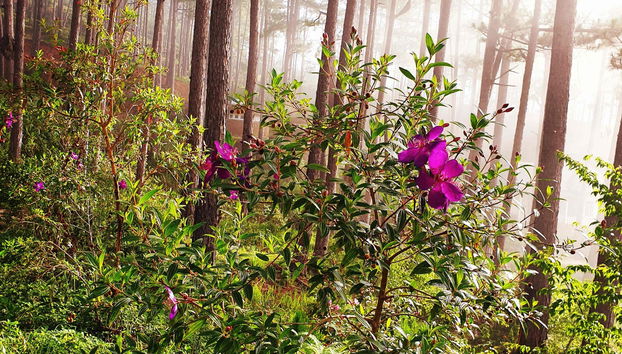 Tour del Parco nazionale Bidoup-Nui Ba in bicicletta - Foto 2