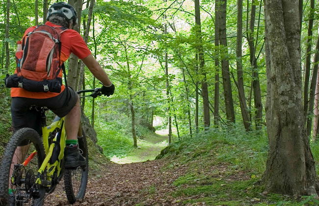 Tour en bicicleta por el Parque Nacional Bidoup-Nui Ba - Foto 3