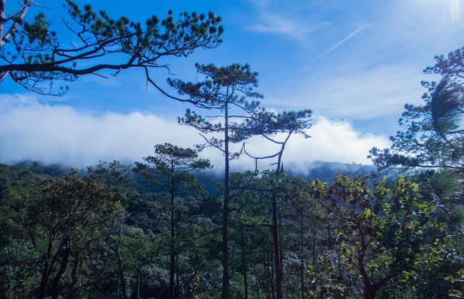 Bidoup-Nui Ba National Park Bike Tour - Foto 7