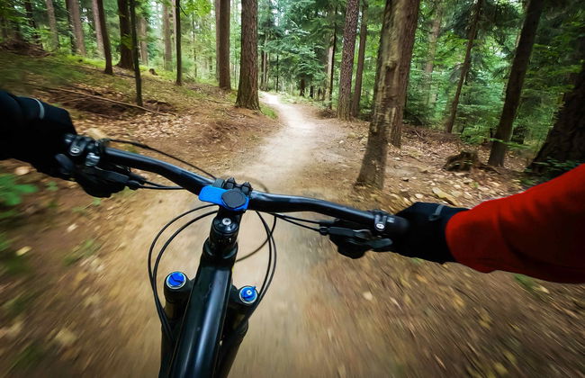 Bidoup-Nui Ba National Park Bike Tour - Foto 4
