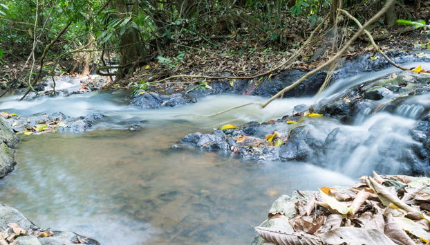 Excursión a las cascadas de Ekom Nkam - Foto 5