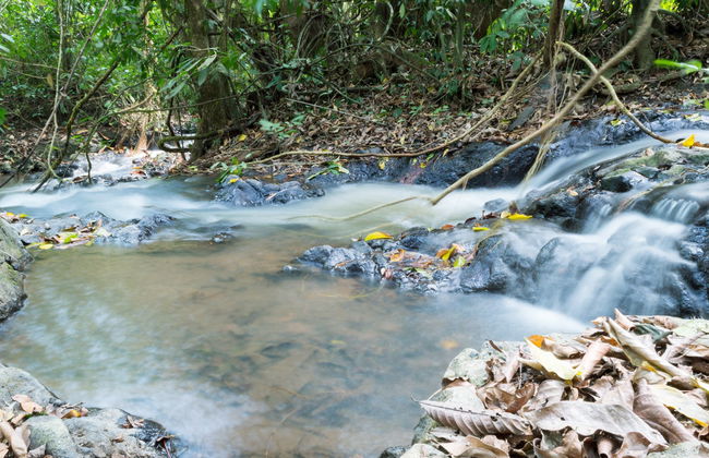 Excursión a las cascadas de Ekom Nkam - Foto 5