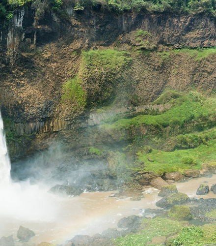 Foto de Excursión a las cascadas de Ekom Nkam