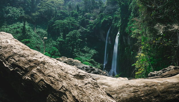 Excursión a las cascadas de Ekom Nkam - Foto 2