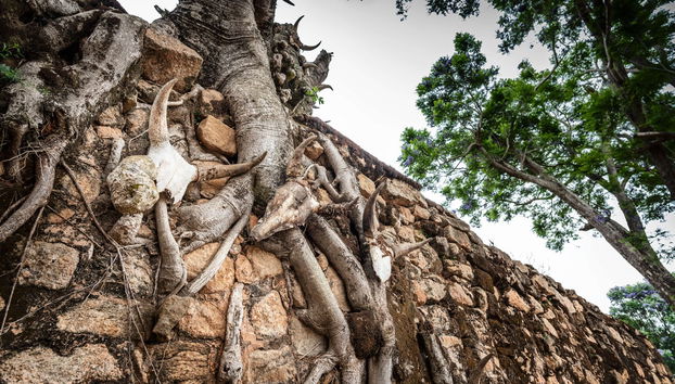 Excursion à la colline royale d'Ambohimanga - Photo 4