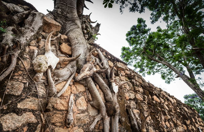 Excursion à la colline royale d'Ambohimanga - Photo 4