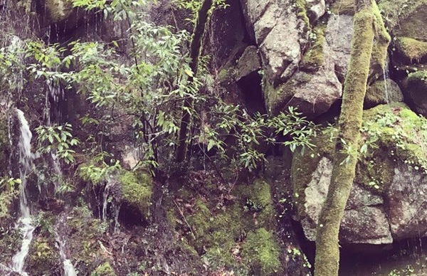 Tour por los Pasadizos del Paiva + Puente 516 Arouca - Foto 8