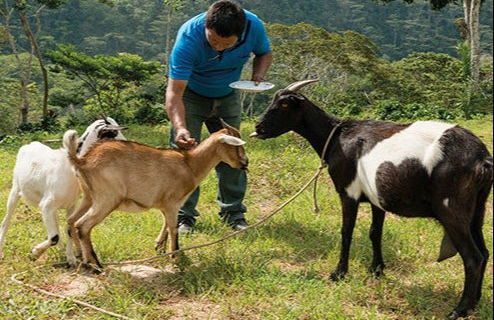 Tour del café orgánico por la finca Rainforest - Foto 2