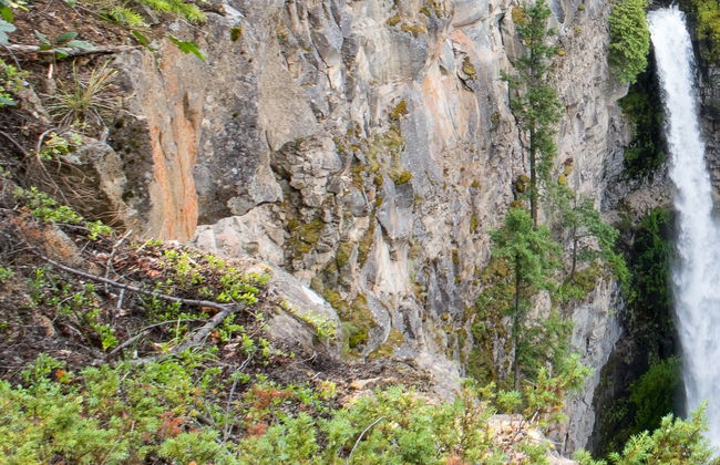 Excursión a la cascada La Encantada + Tubing en el cañón del río Cafre - Foto 4