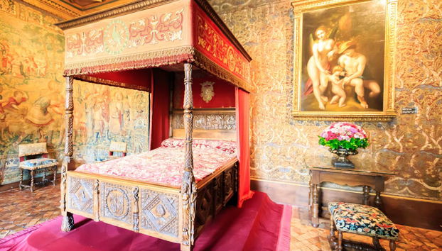 Entrada al castillo de Chenonceau - Foto 5