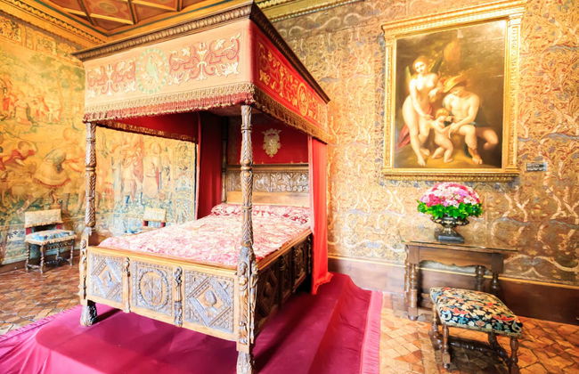 Entrada al castillo de Chenonceau - Foto 5