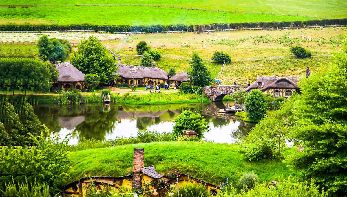 Excursion à Hobbiton + Grottes de Waitomo - Photo 1