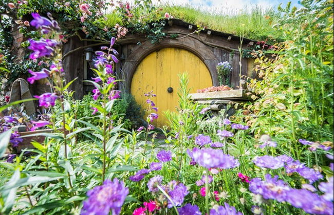 Excursión a Hobbiton y Rotorua - Foto 2