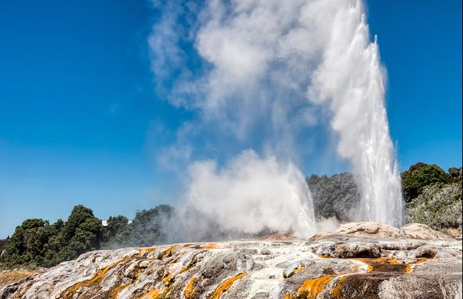Excursión a Hobbiton y Rotorua - Foto 7