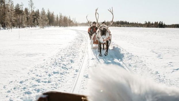 Reindeer Sleigh Ride - Photo 3