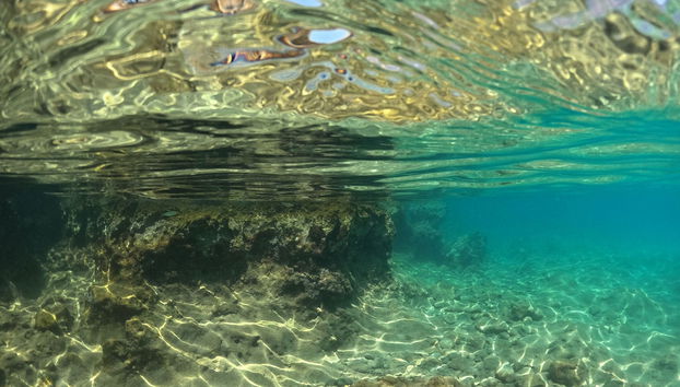 Giro in barca nel Golfo di Gokova - Foto 5