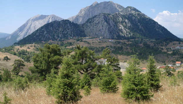 Gebiz Jeep Tour - Foto 5