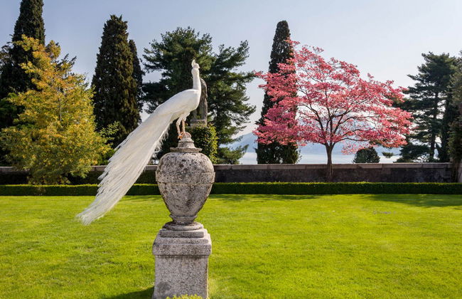 Barco turístico a isla Bella - Foto 7