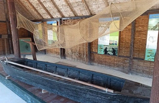 Visita guidata dell'Ecomuseo del Delta dell'Ebro - Foto 6