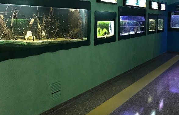 Visita guiada por el Ecomuseo del Delta del Ebro - Foto 4