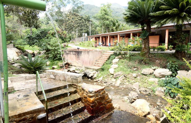 Excursão a Rioja e Moyobamba - Foto 4