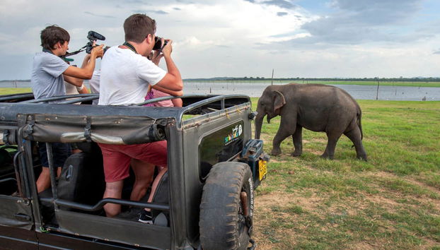 Private Kaudulla National Park Safari - Foto 4
